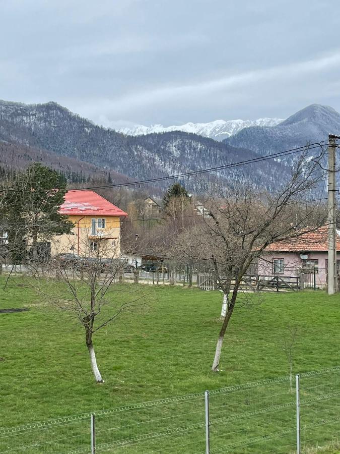 Casa Luca Ama Bran Vila Bran  Exterior foto